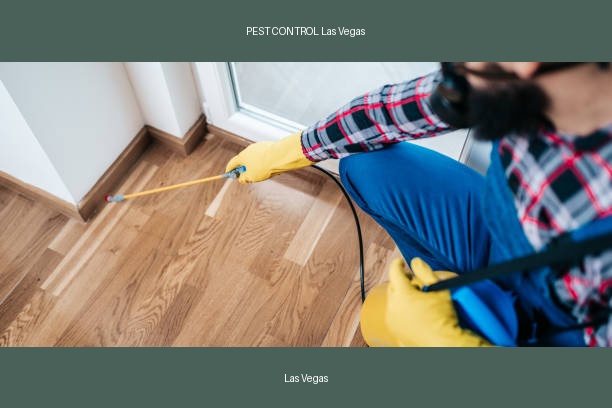 PEST CONTROL Las Vegas